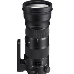 Sigma 150 - 600mm 002